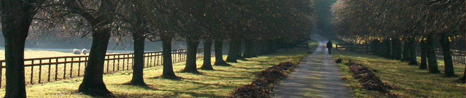 Nettsted for Anders Skordal Vatland