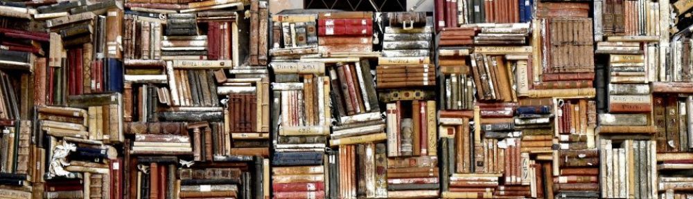 Skolebibliotekaren
