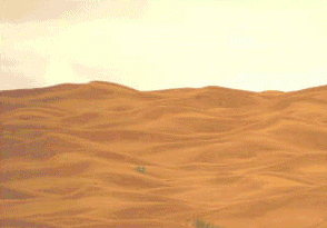 Desert dreams...