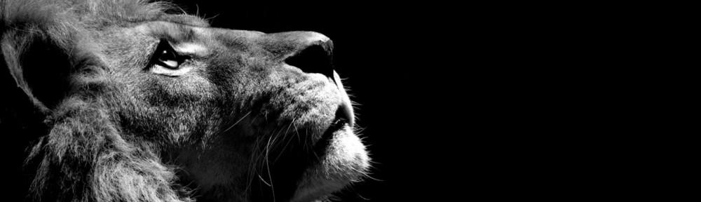 Nettsted for Erik Angell Berg