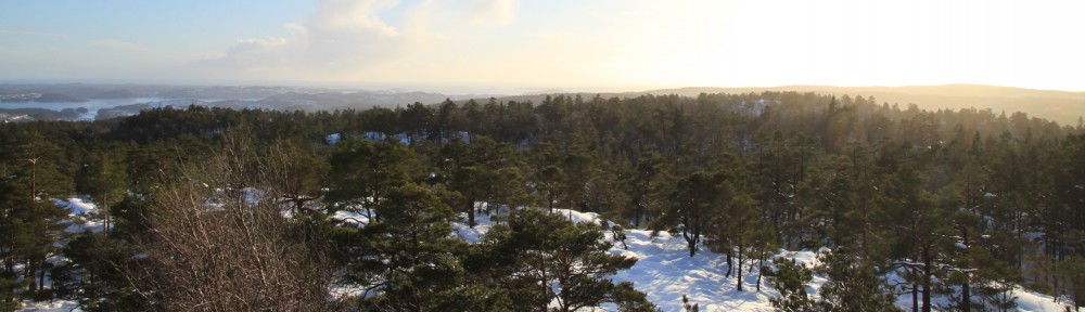Half a year Norway
