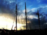 m-IMG_2213 