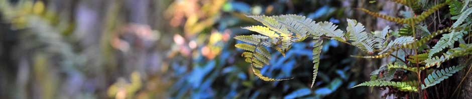 Nettsted for Vetle Horpestad